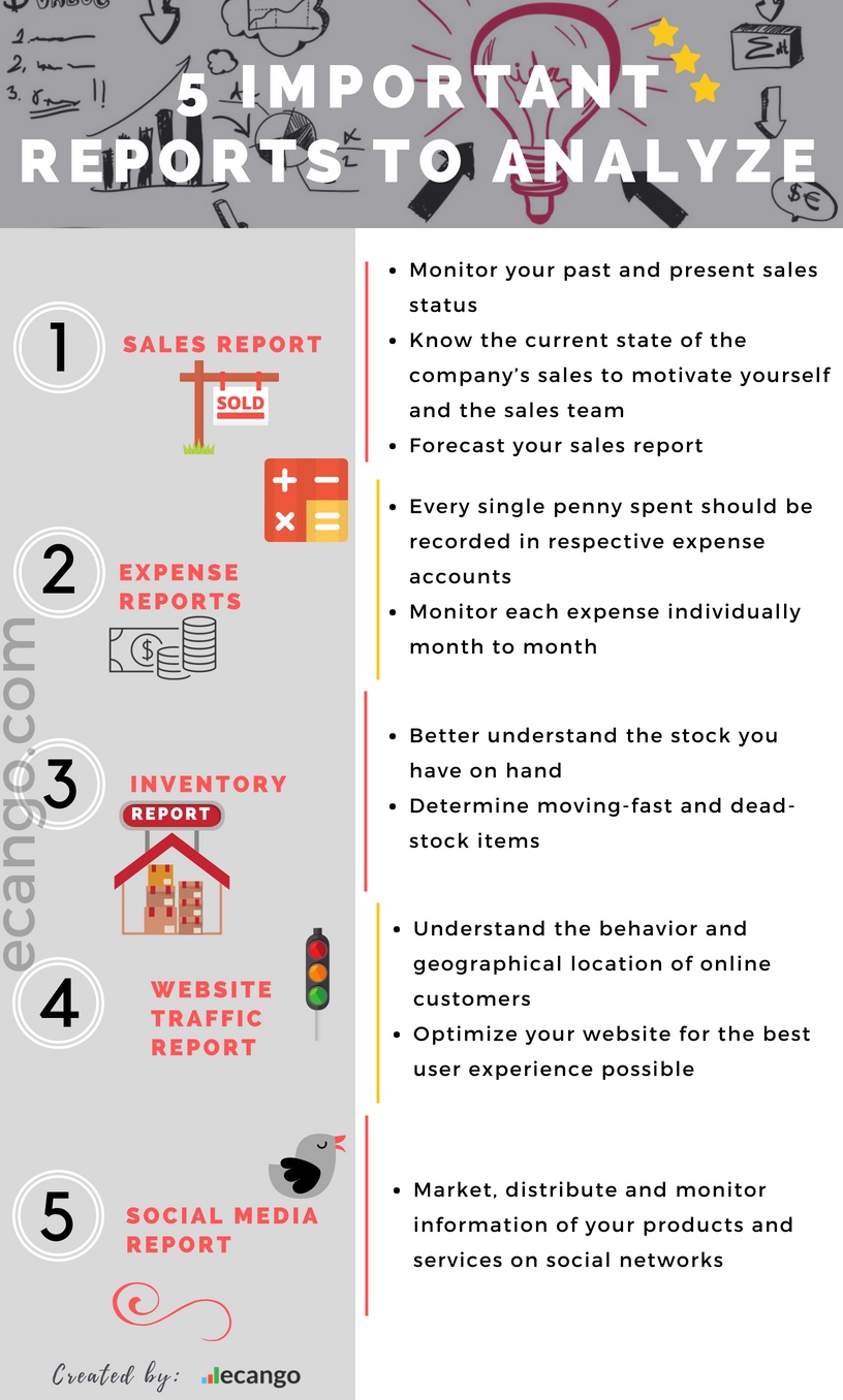 Important Financial Reports To Analyze