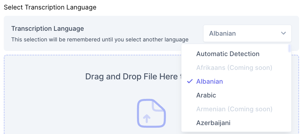 A screenshot of transcription language of Ecango.